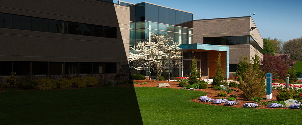 Marshall Landscapers