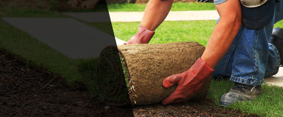 Marshall Landscapers